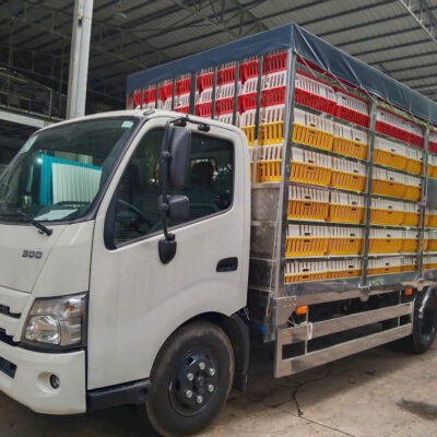 Xe Tải Hino XZU730L 5 Tấn Thùng Bạt